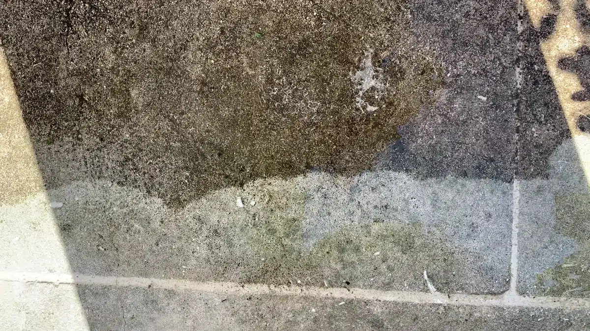 pierre-naturelle-elimination-mousses-gros-plan-villa-mougins Gros plan d'une pierre de terrasse d'une villa de Mougins pendant le nettoyage : les mousses et lichens noirs du haut sont éliminés dans la zone claire du bas